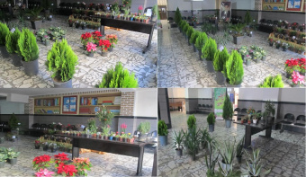 نمایشگاه گل و گیاهان زینتی به مناسبت شب یلدا برگزار شد