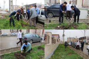 هم زمان با هفته منابع طبیعی و روز درختکاری؛ مراسم کاشت نهال در دانشگاه جامع علمی کاربردی استان گلستان  برگزار شد